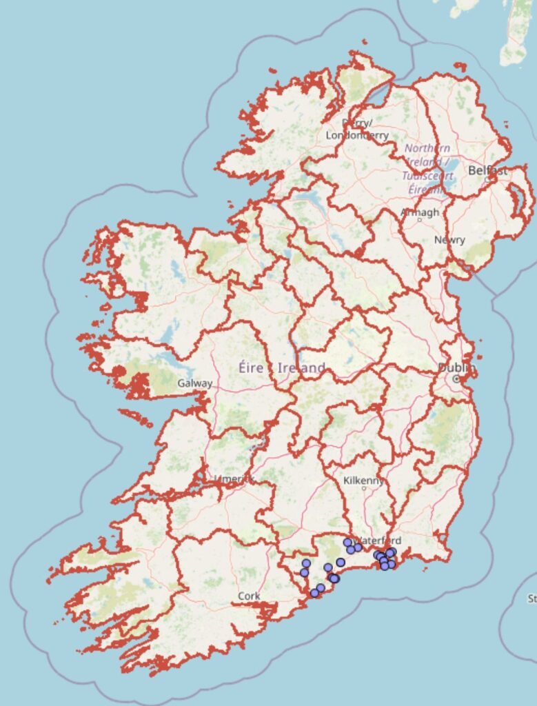 Map of Ireland showing the location of the first confirmed Asian hornet nest in August 2025