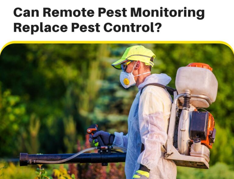 Owl Pest Control Dublin asks if remote-pest-monitoring-could replace traditional pest control?