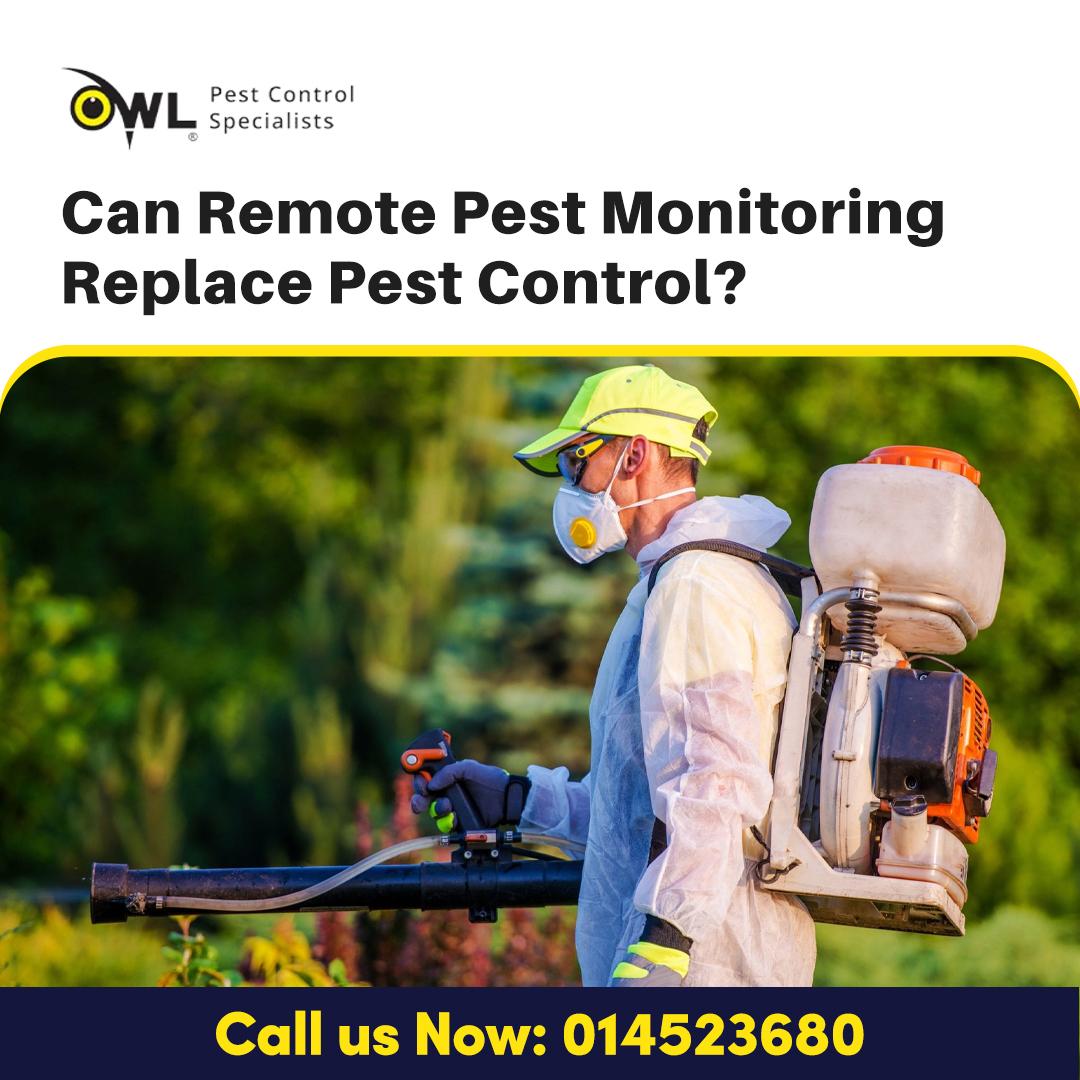 Owl Pest Control Remote Pest Monitoring