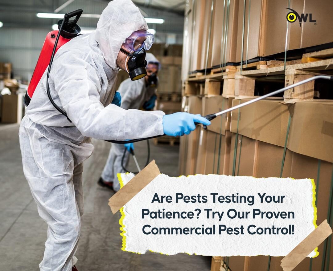 Commercial Pest Control Dublin No.1 Expert Exterminators
