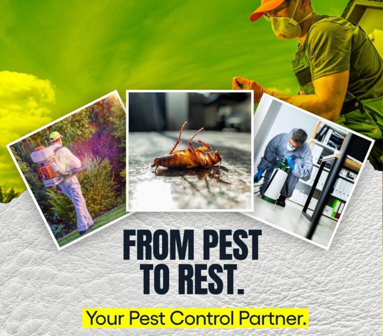 Owl Pest Control Dublin can help you to get-rid-of pests