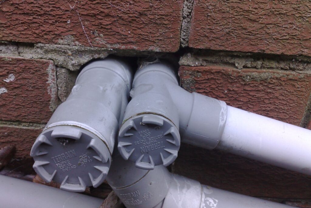 gaps around brickwork - mice access to house