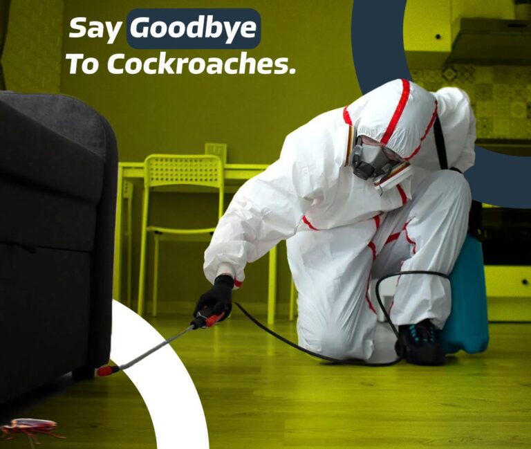 get-rid-of-cockroaches-2