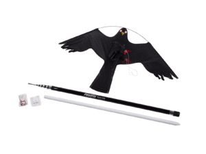 hawk kite kit