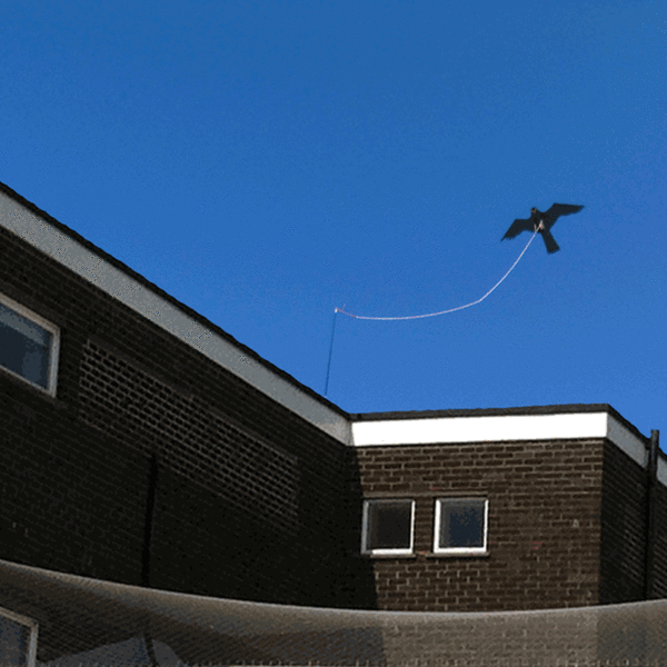 hawk kite kit on building 2 - Owl Pest Control Products Ireland