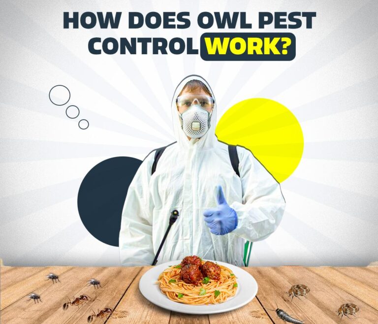 integrated-pest-management-how-does-owl-pest-control-works