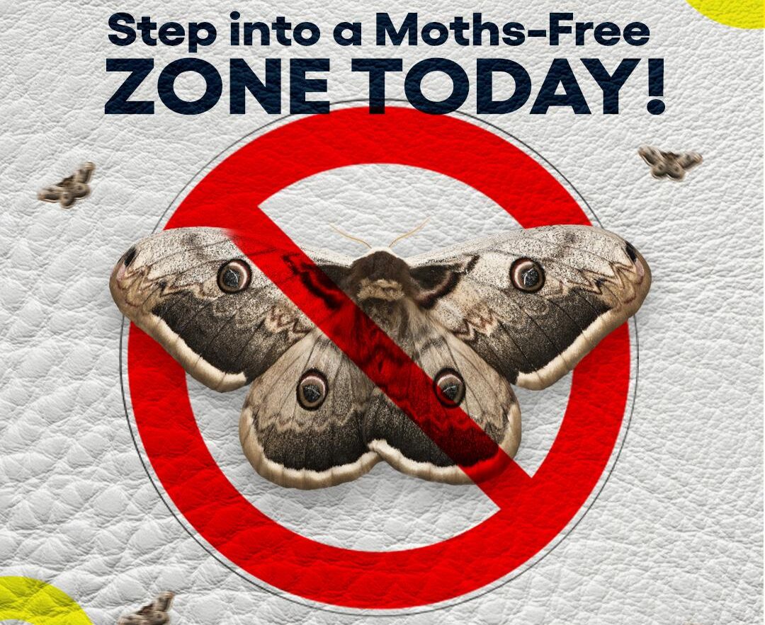 Pest advice for controlling Moths