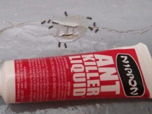 nippon-best-ant-killer-gel-owl-pest-control