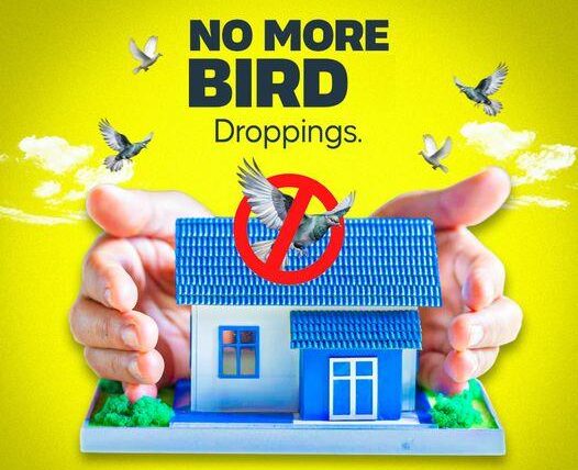 no-more-bird-droppings-2