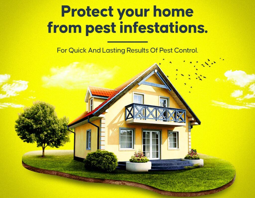 pest-free-home