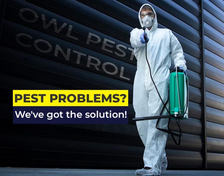 Owl Pest Control Dublin has solutions for all pest problems