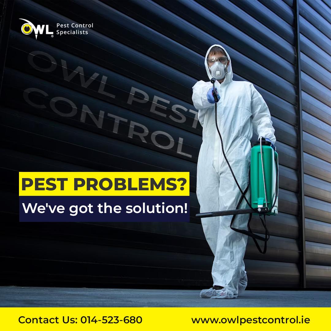 Contact Owl Pest Control Dublin - #1 Pest Control Experts