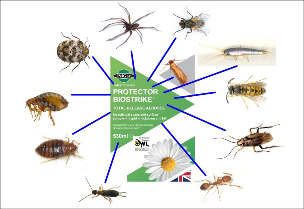 protector-biostrike-total-release-aerosol-insects