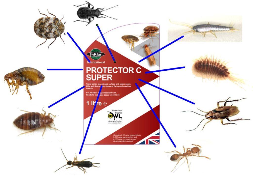 protector-c-liquid-insecticide-insects-fleas-silverfish-coackroaches-bed-bugs-carpet-beetles-clothes-moths-ants